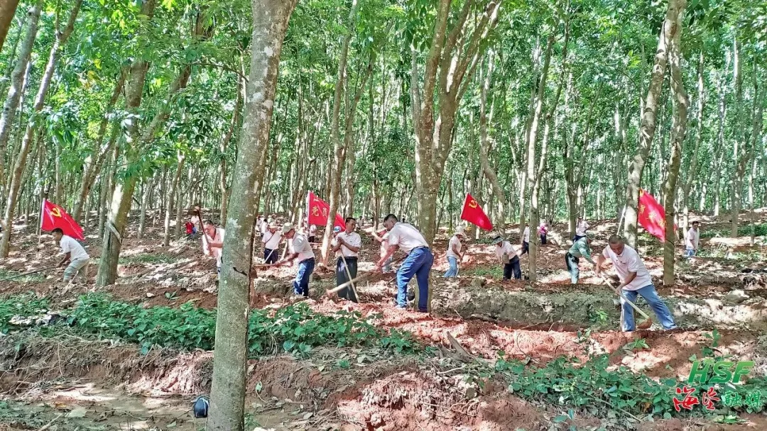 邦溪分公司：黨建賦能“新思路” 跑出高質(zhì)量發(fā)展“加速度”
