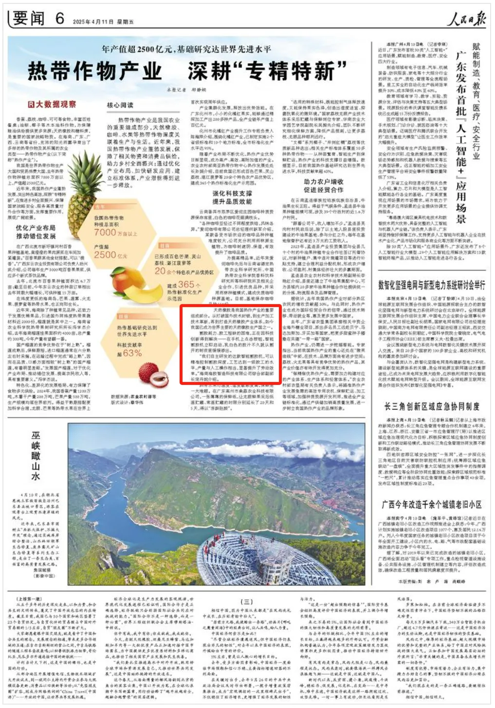 人民日?qǐng)?bào)報(bào)道海南橡膠研發(fā)成果：割膠耗力、膠工短缺的困難，正在因科技創(chuàng)新得到解決